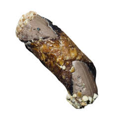 Cannolcrock gianduia