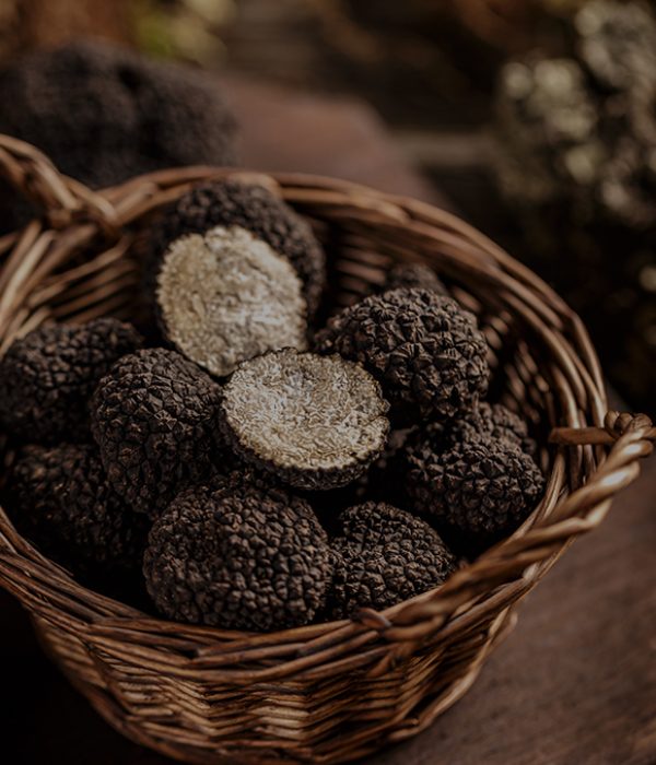TRUFFES 4